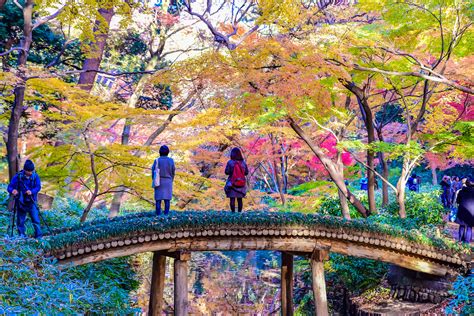 東京都公園協会 求人 - 公園の未来を共に考える